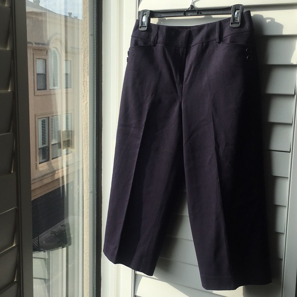 Blue lined stretch wool Talbots gauchos - Picture 1 of 6